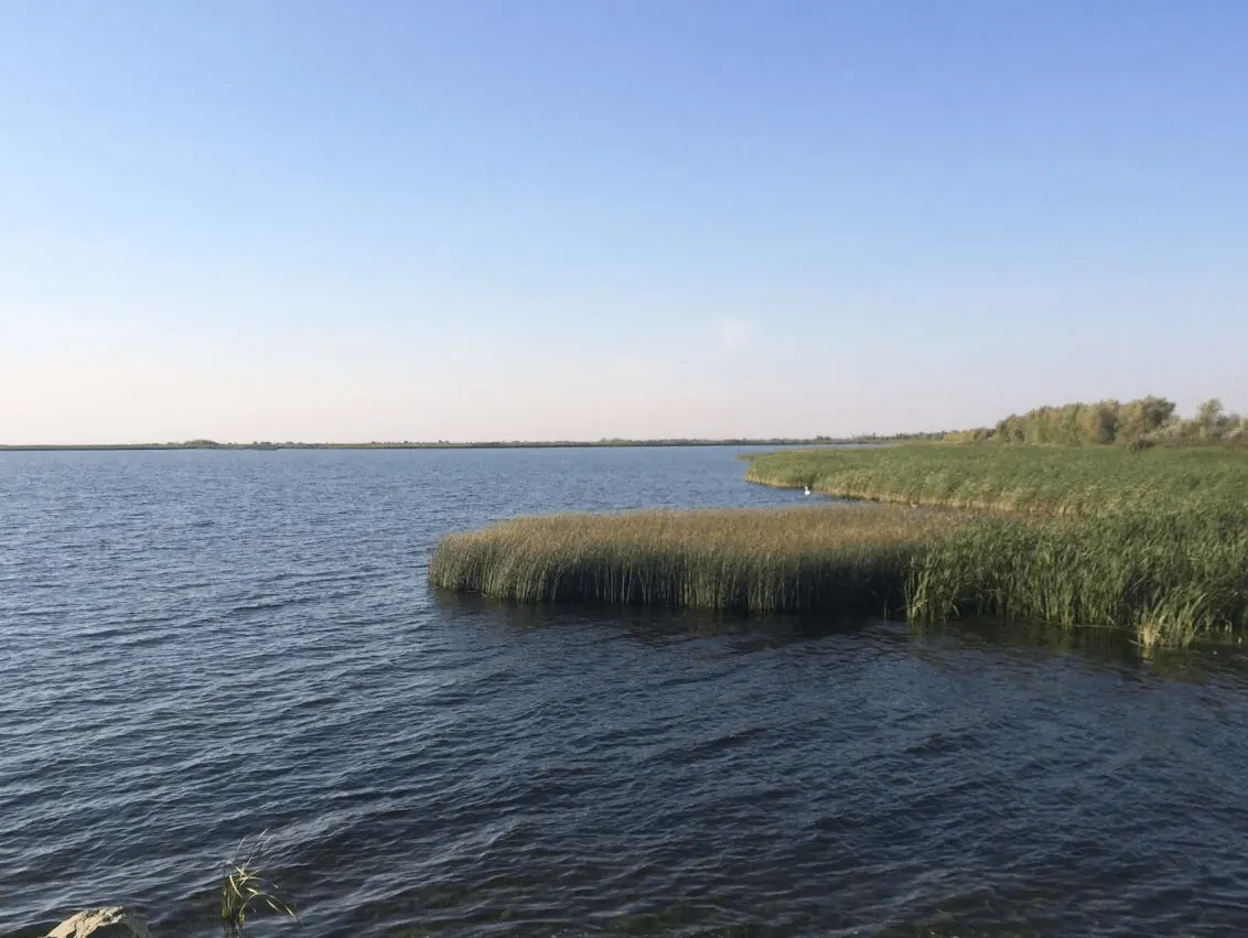 Кушумское водохранилище